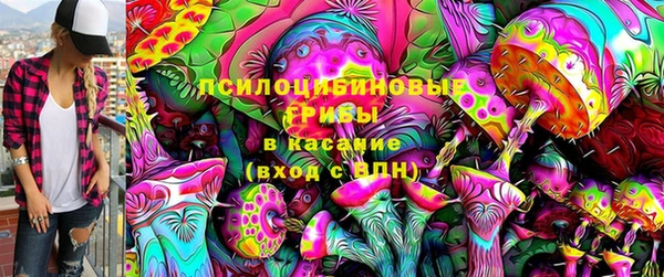apvp Инта