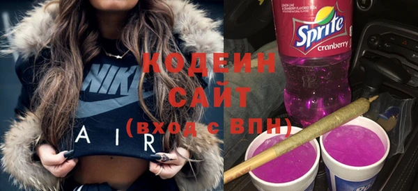 прущий лед Алзамай