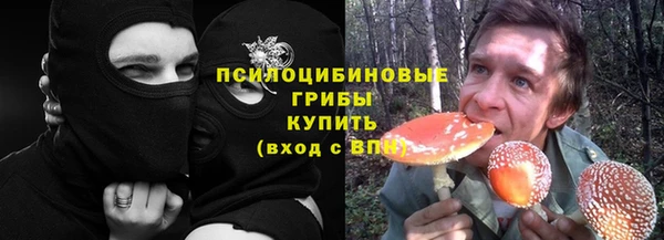 СК Абинск