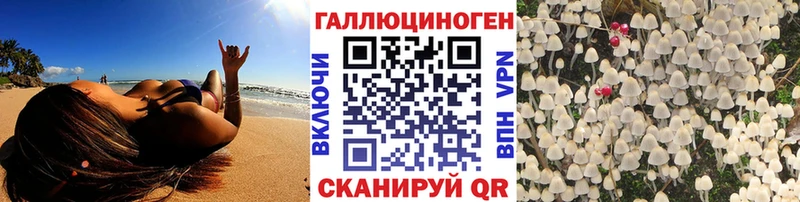 Галлюциногенные грибы Magic Shrooms Карталы