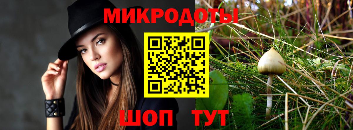 Галлюциногенные грибы Psilocybe Карталы