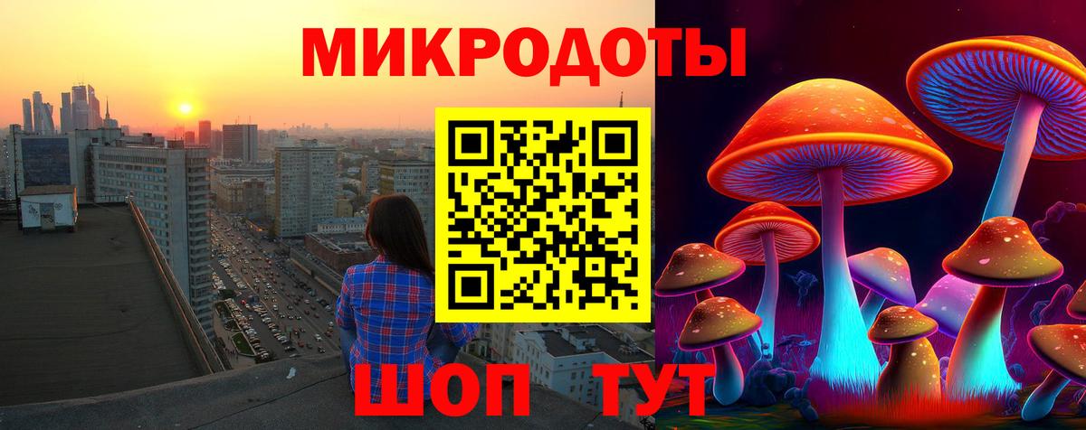 Псилоцибиновые грибы Psilocybine cubensis  Вход с VPN  Карталы 